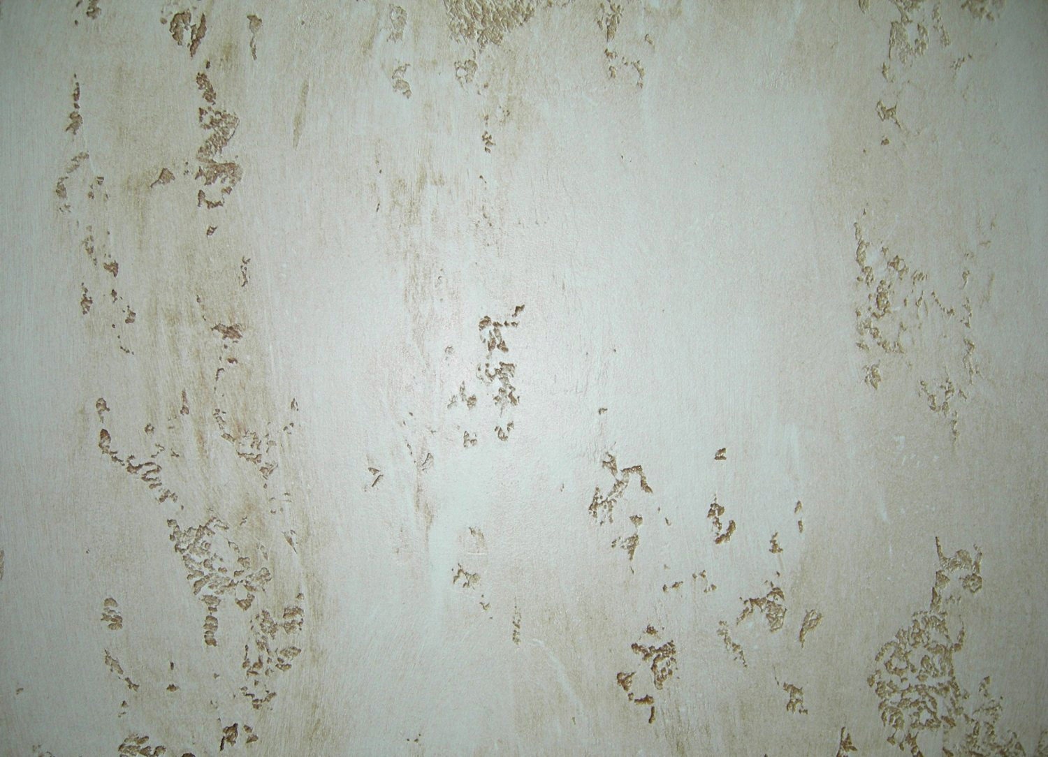 DSCN2914