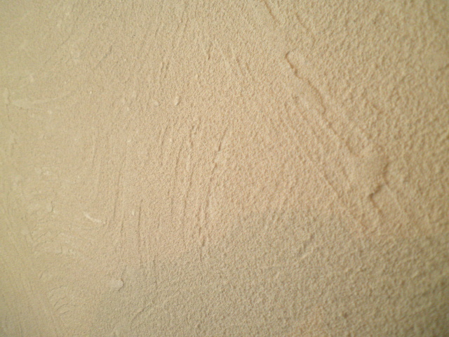 P4110689