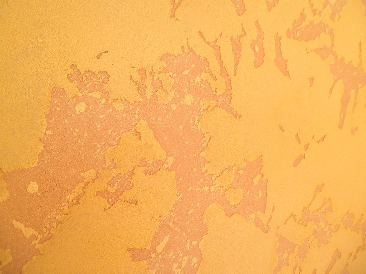 P7061033 Resize728px