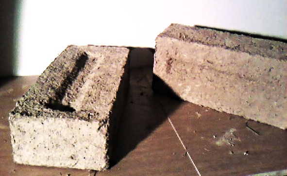 Photo-0028