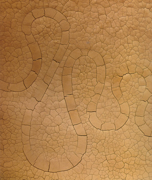 whorl