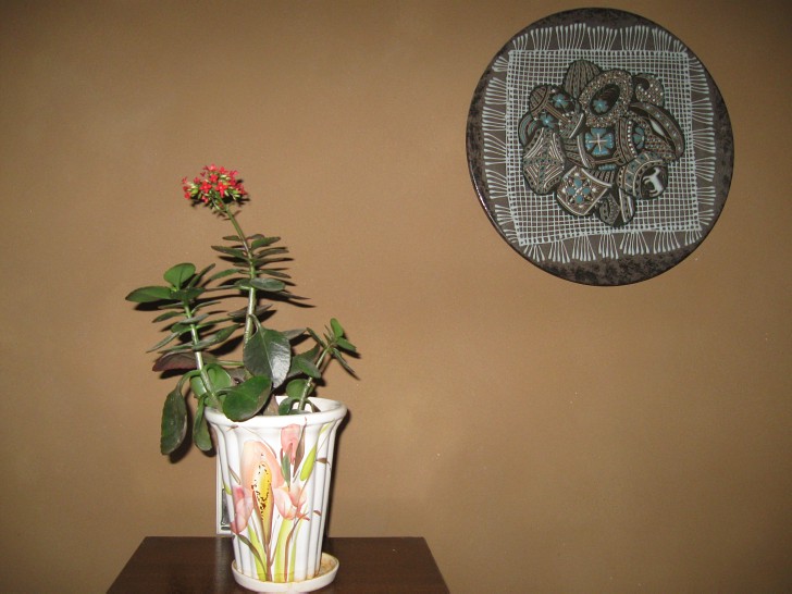 IMG 8982 Resize728px